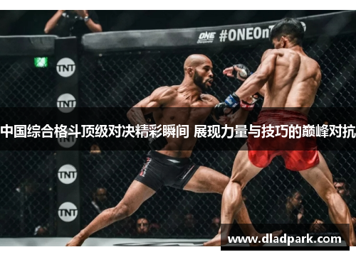 中国综合格斗顶级对决精彩瞬间 展现力量与技巧的巅峰对抗