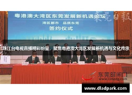 珠江台电视直播精彩纷呈，聚焦粤港澳大湾区发展新机遇与文化传承