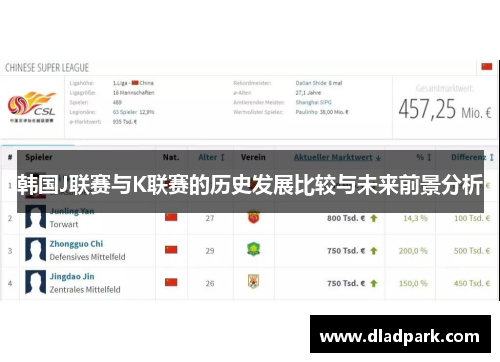 韩国J联赛与K联赛的历史发展比较与未来前景分析
